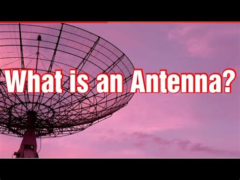 antenna meaning in kannada|Antenna in Kannada .